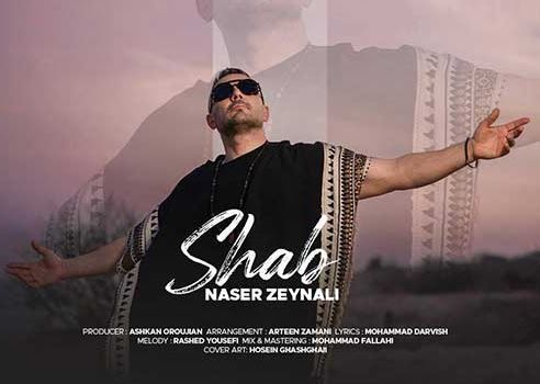 دانلود آهنگ جدید ناصر زینعلی به نام شب