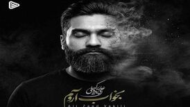 دانلود آهنگ جدید علی زند وکیلی به نام بخواب آروم