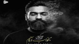 دانلود آهنگ جدید علی زند وکیلی به نام بخواب آروم