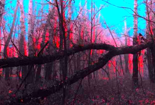 دانلود آهنگ همایون شجریان آهای خبردار مستی یا هوشیار