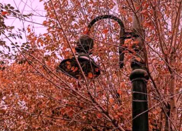 دانلود آهنگ دل تو میتونست بره ولی خب عرضه نداشت