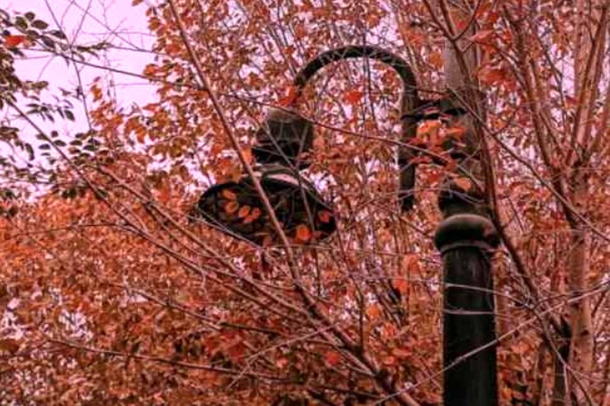 دانلود آهنگ دل تو میتونست بره ولی خب عرضه نداشت