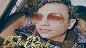 دانلود آهنگ جدید محسن ابراهیم زاده به نام گل پونه