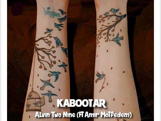 دانلود آهنگ جدید آلوین تو ناین و امیر متفدم به نام کبوتر