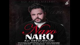 دانلود آهنگ جدید علی عبدالمالکی به نام نرو نرو