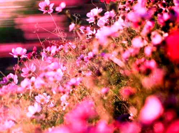 دانلود آهنگ حایاتی تسبیح یاپمیشیم