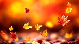 همنوازی زیبای ویولن و آکاردئون در منظره پاییزی/ ویدئو