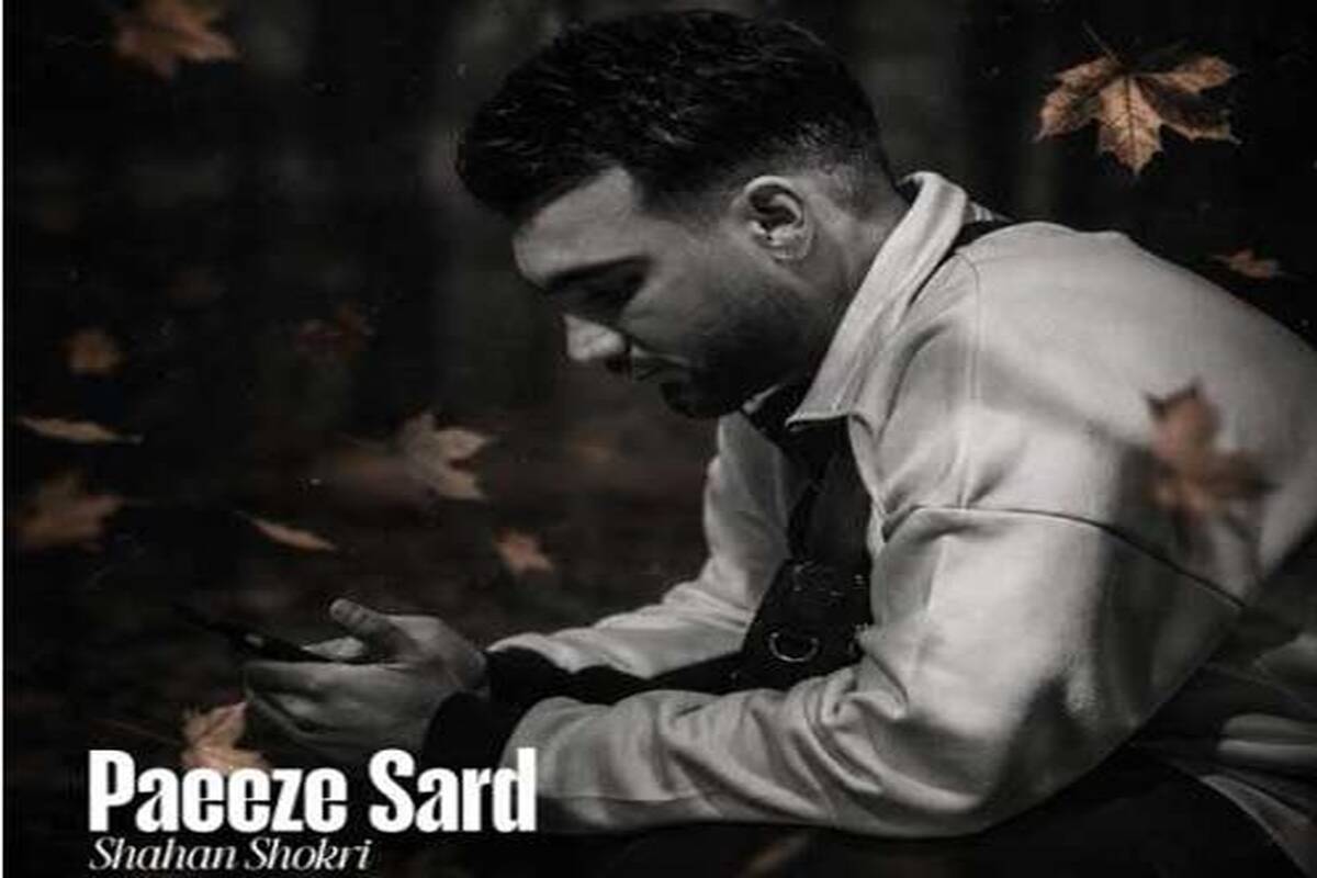 دانلود آهنگ جدید شاهان شکری به نام پاییز سرد