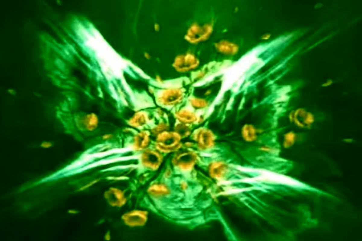 دانلود آهنگ جدید مهیار نمیشناسمت