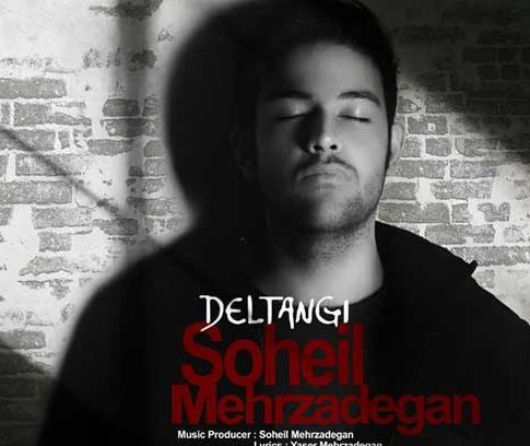 دانلود آهنگ جدید سهیل مهرزادگان به نام دلتنگی
