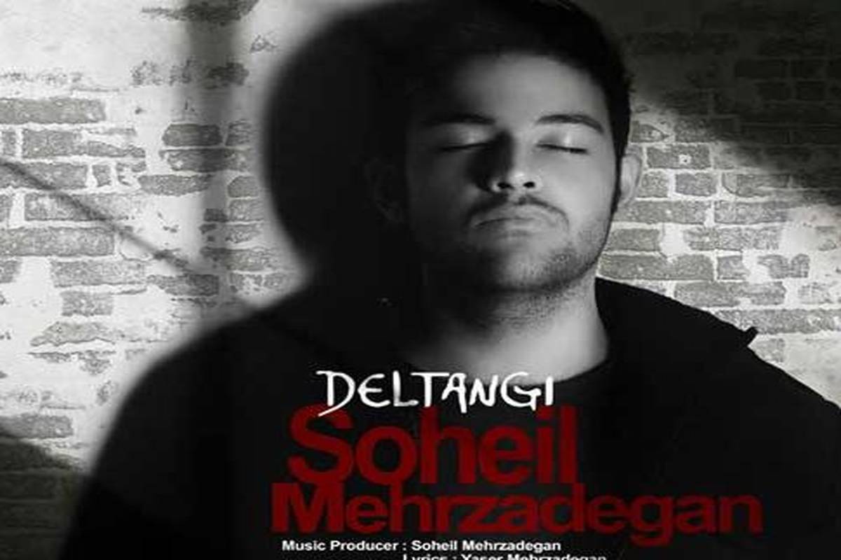 دانلود آهنگ جدید سهیل مهرزادگان به نام دلتنگی
