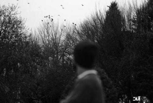 دانلود آهنگ جدید حامیم به نام بلدم بودی