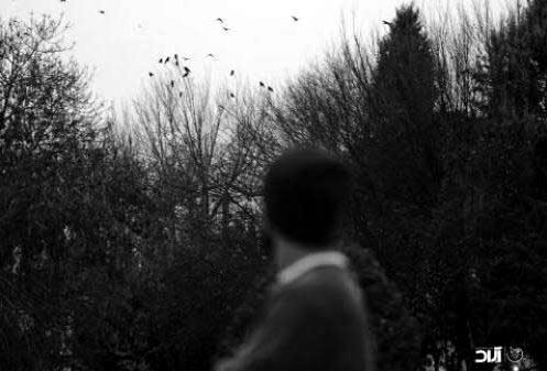دانلود آهنگ جدید حامیم به نام بلدم بودی