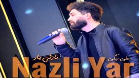 دانلود آهنگ علی بیگی نازلی یار