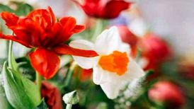 دانلود آهنگ همین بود میگفتی دوسم داری منو همین بود میگفتی که کم داری منو