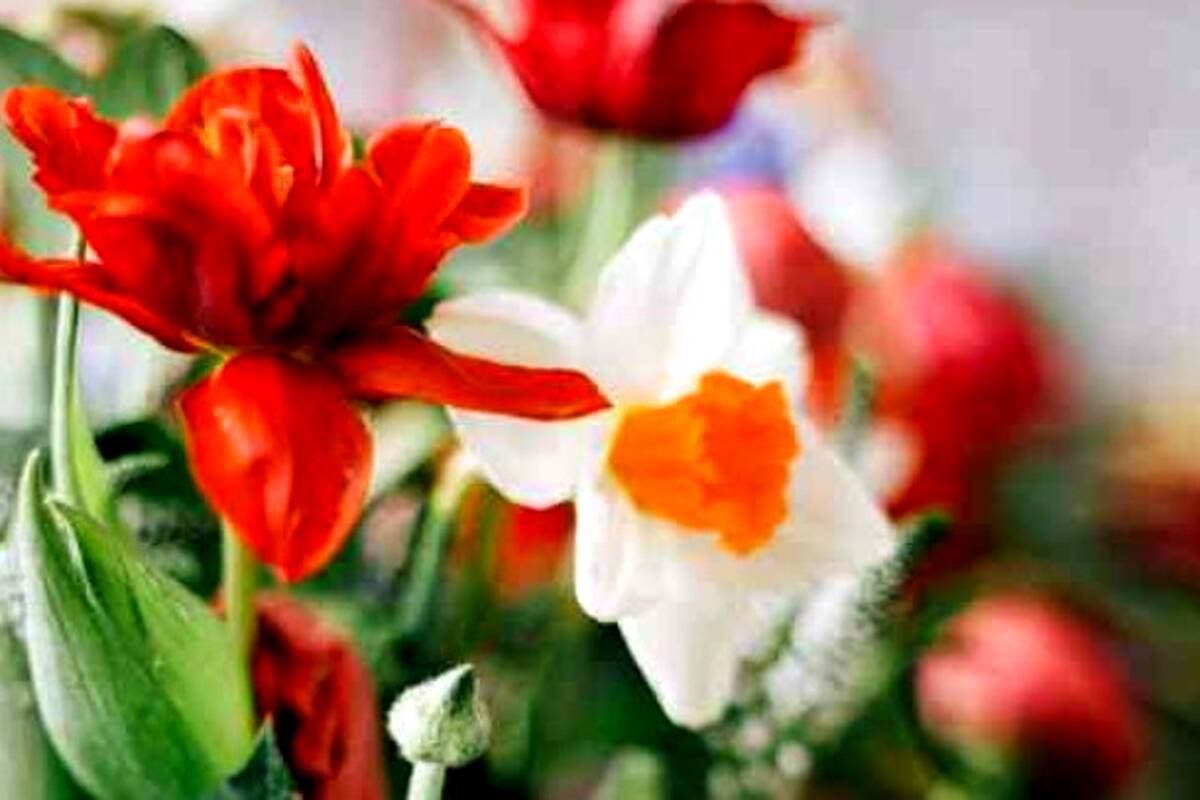 دانلود آهنگ همین بود میگفتی دوسم داری منو همین بود میگفتی که کم داری منو