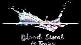 دانلود آهنگ Blood sweat & tears از bts بی تی اس