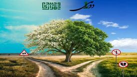 دانلود آهنگ جدید وحید چهرازی به نام دوراهی ۱