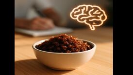 تأثیر شکر قهوه‌ ای بر مغز: سوختی هوشمند برای تقویت تمرکز و انرژی ذهن