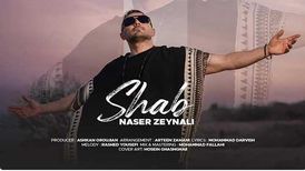 دانلود آهنگ ناصر زینعلی به نام شب