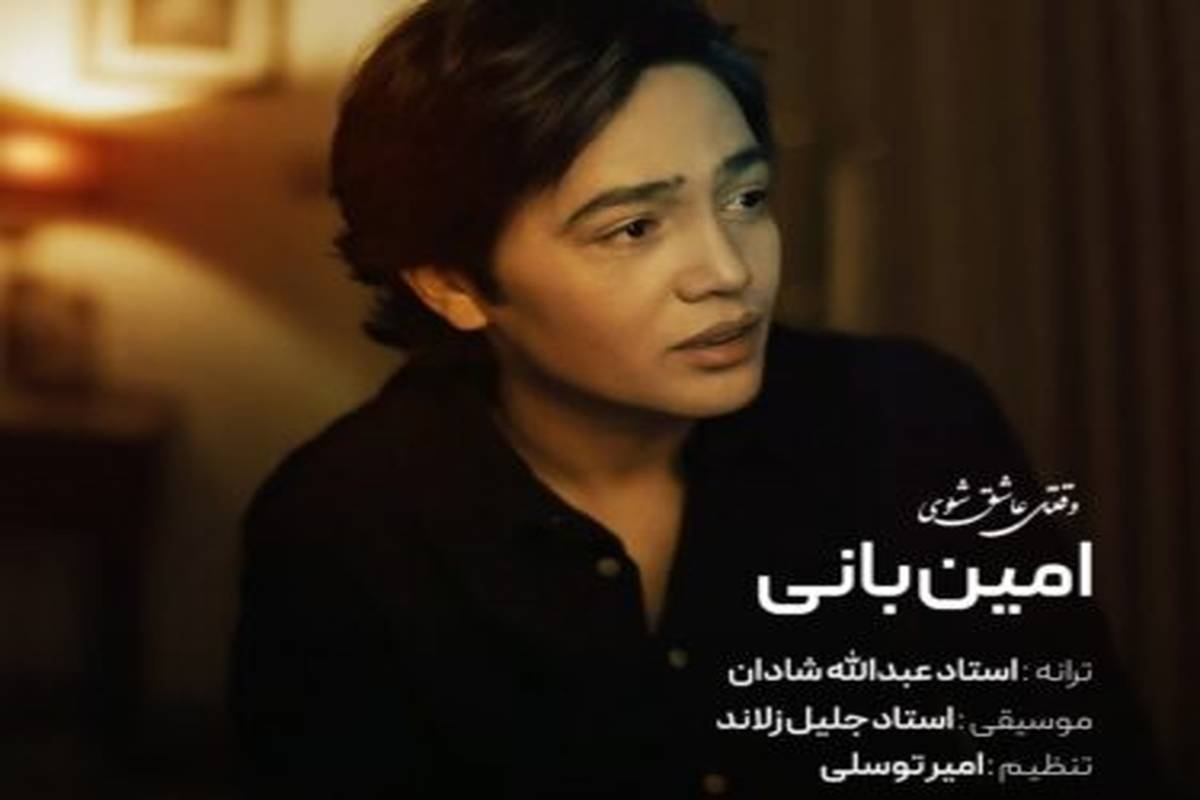دانلود آهنگ جدید امین بانی وقتی عاشق شوی