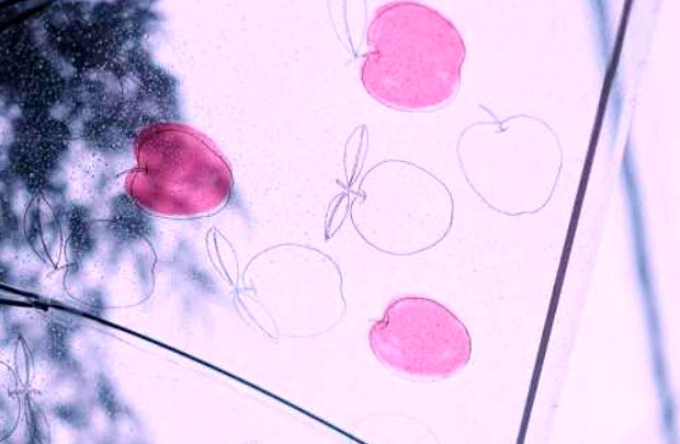 دانلود آهنگ اخماتو واکن پسرو سرتو بالا کن دخترو